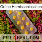 Grüne Hornissenlaschen new11